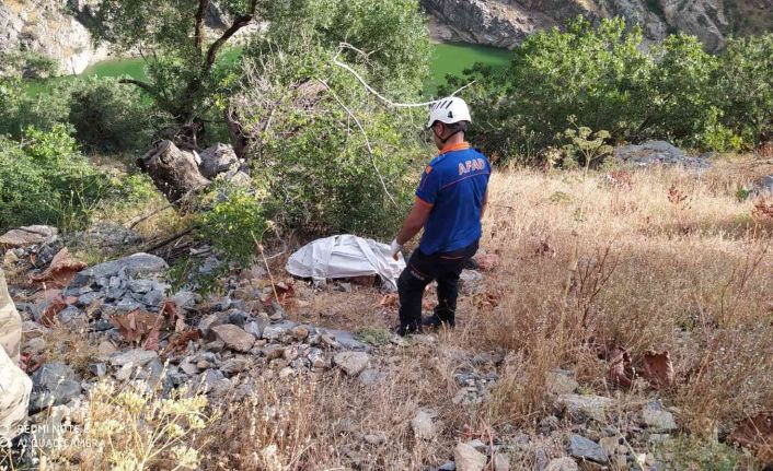 Bitlis’te trafik kazası: 1 ölü