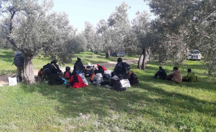 Çanakkale’de, jandarma ekipleri son 2 ayda bin 479 düzensiz göçmen yakaladı