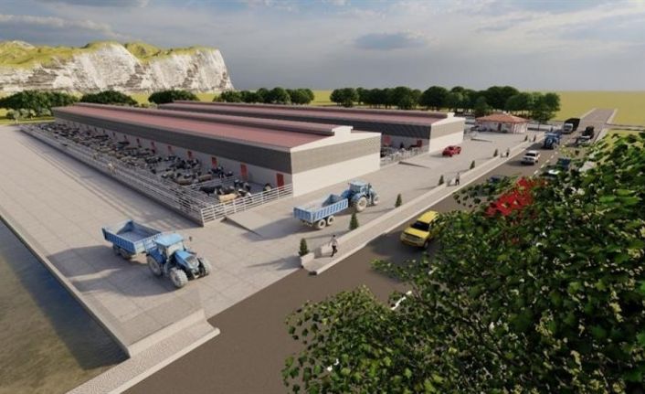 Devrekani Tarıma Dayalı İhtisas Besi OSB’nin genel yerleşim planı ve üstyapı projeleri onaylandı