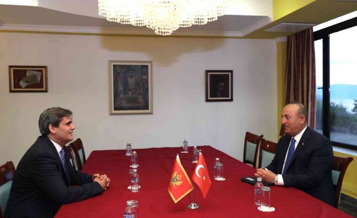 Dışişleri Bakanı Çavuşoğlu, Karadağ Başbakan Yardımcısı İbrahimoviç ile görüştü