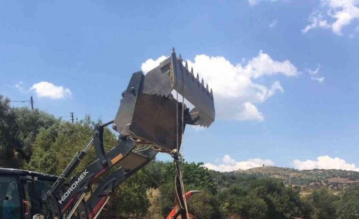 Domuzun saldırdığı yarış atı telef oldu