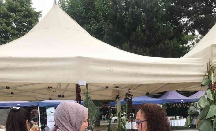 Festival katılımcılarına Şiddet Önleme ve İzleme Merkezi’nin hizmetleri anlatıldı