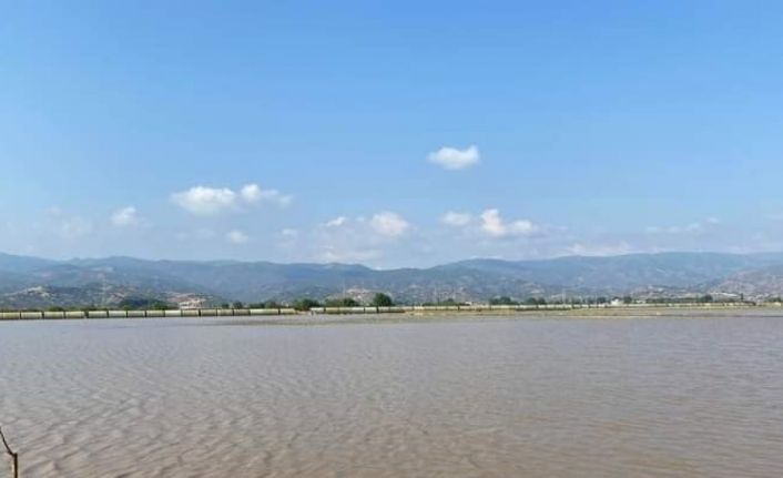 Geçen yıl kuraklık bu yıl da aşırı yağışlar üreticileri zora soktu