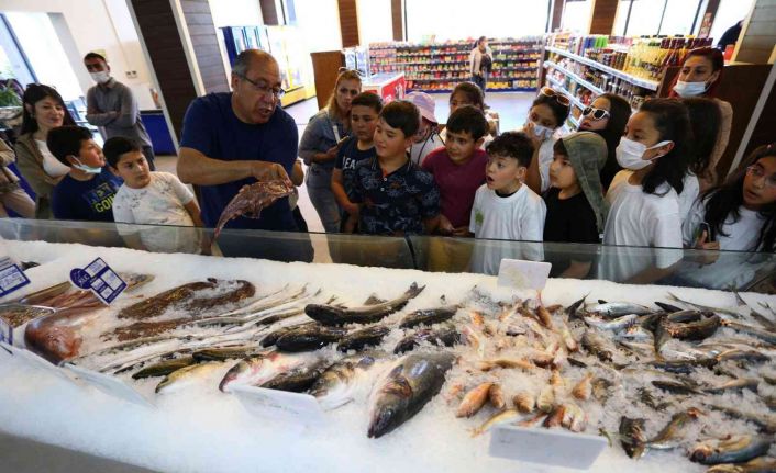 Hem öğrendiler hem eğlendiler