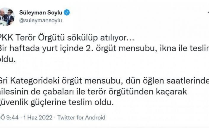 İçişleri Bakanı Soylu: “Gri kategorideki örgüt mensubu teslim oldu”