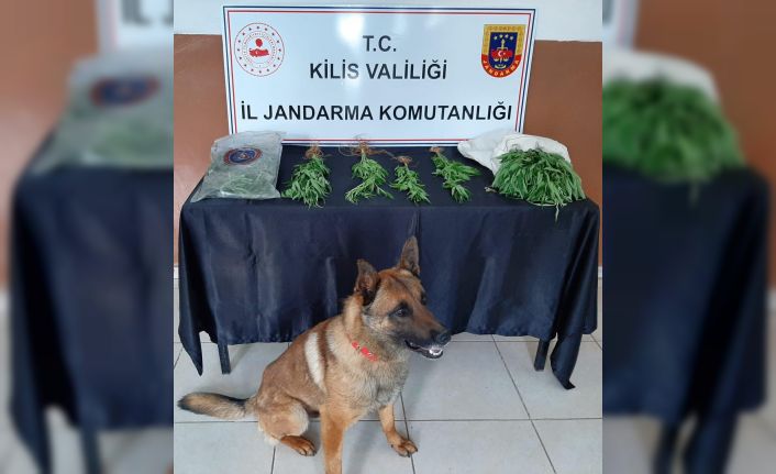 Kilis’te uyuşturucu operasyonu