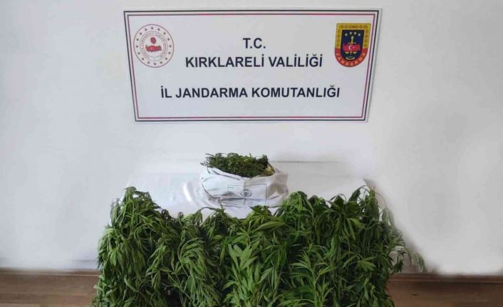 Kırklareli’de dronla tespit edilen adreslere jandarmadan şok operasyon