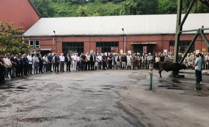 Kozlu’da yeni panoda üretime başlandı