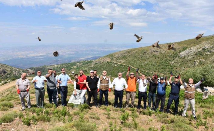 Manisa’da 250 kınalı keklik doğaya salındı