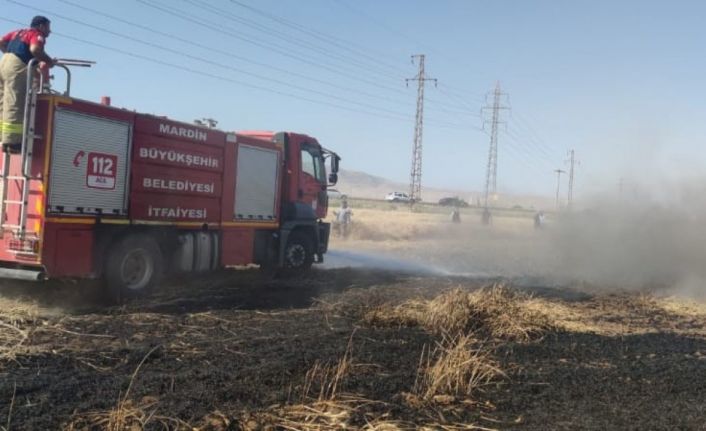 Mardin’de buğday ekili arazide yangın, 55 dönüm kül oldu