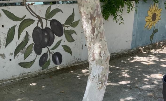 Mezitli Örgülü Sokaktaki örgüler ve resimler tahrip edildi