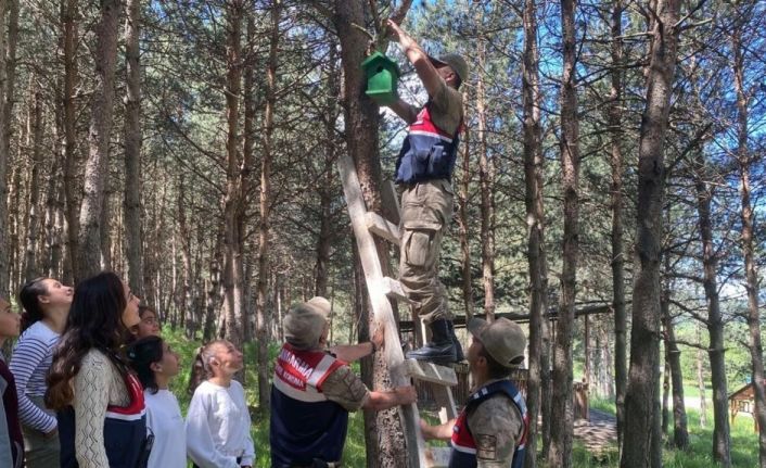 Ormanlara kuş yuvası asıldı