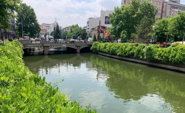 Porsuk Çayı kenarları yeşil örtüyle kaplandı