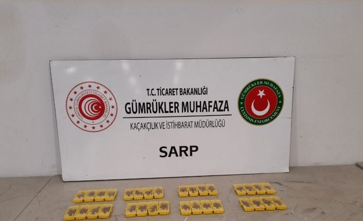 Sarp Sınır Kapısı’ndan Türkiye’ye sokulmak istenen 320 canlı arı ele geçirildi