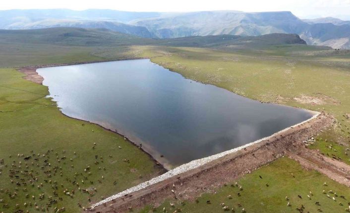 Sekmen: “Göletlerimizle birlikte bitkisel ve hayvansal üretim kat ve kat arttı”