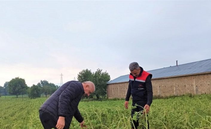 Selden zarar gören tarım alanlarında hasar tespit çalışması başlatıldı