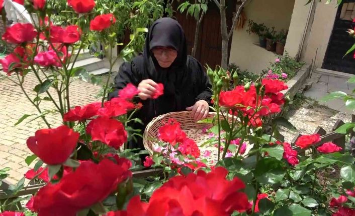 Şile’de üretilen doğal enginar ve gül sirkesi yoğun talep görüyor