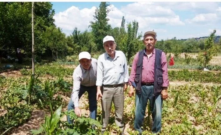 Simav’da sebze ve meyveler sağanak yağmur ve doludan zarar gördü