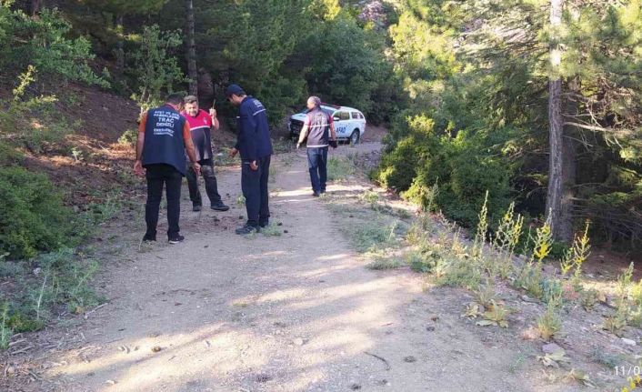 Sırra kadem basan gençler ormanlık alanda aranıyor