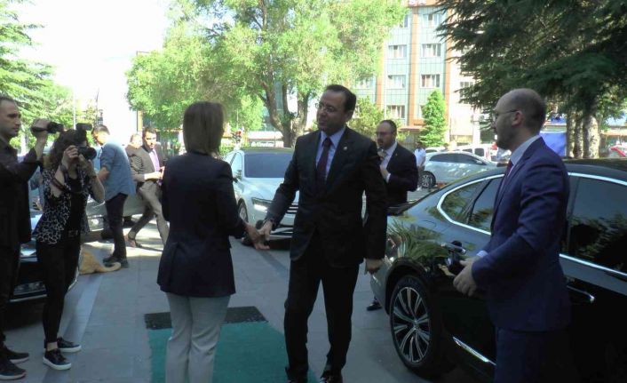 Tarım ve Orman Bakan Yardımcısı Gizligider: “Türkiye’de kıtlık beklemiyoruz”