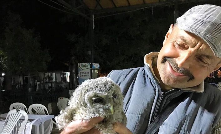 Tarlasında bulduğu yaralı baykuşa evladı gibi bakıyor