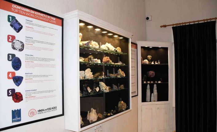 TBK’den Mineral ve Fosil Müzesi’ne  ‘Doğa Tarihi’ kategorisinde ödül