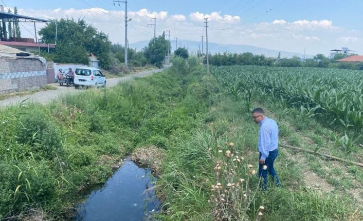 Turgutlu ve Salihli’de haşereyle mücadele