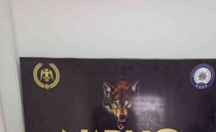 Uyuşturucu operasyonunda 2 kişi tutuklandı