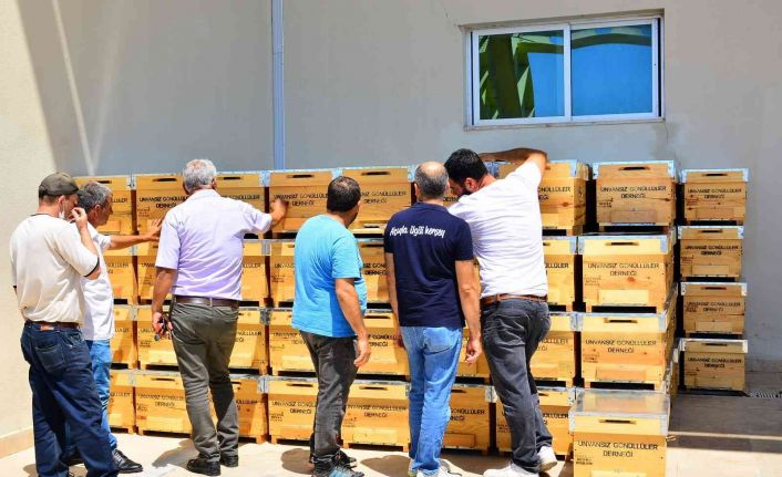 Yangınzede üreticilere arı kovanı desteği