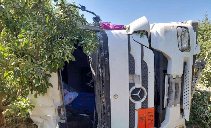Yoldan çıkan tır meyve bahçesine devrildi, sürücü hayatını kaybetti