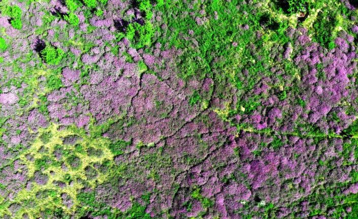 Yozgat’ta yağlıboya tablolarını andıran görüntüler