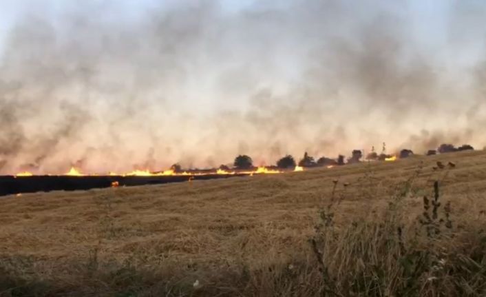 130 dönüm ekili bezelye ile 40 dönüm buğday alev alev yandı
