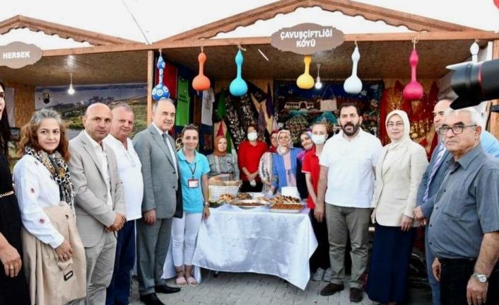 Altınova Belediyesi 15. Kültür Festivali renkli görüntülere sahne oluyor