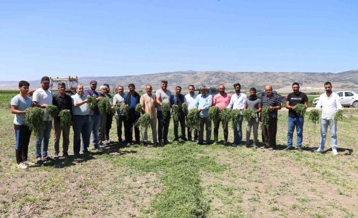 Aracılara sinirlenip İstanbul’a 2 gün boyunca ürün göndermeyi durdurdular