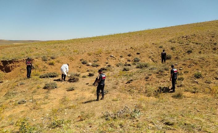 Arazi anlaşmazlığı faciayla bitti: 3 ölü, 1 yaralı