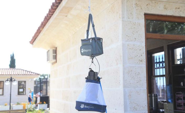 Asya kaplan sivrisineğine karşı önlem alınıyor