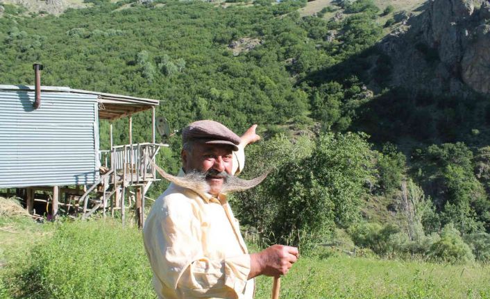 Ayının üzerine yürüyen meşhur pala dayı cesaretiyle ayıya geri adım attırdı