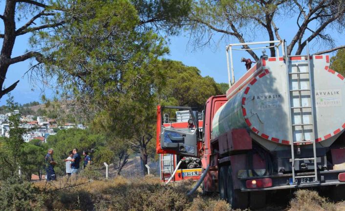 Ayvalık’ta orman yangını korkuttu