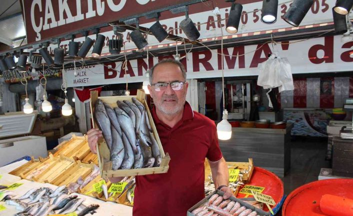 Bandırma balık halinde tezgahlar canlandı
