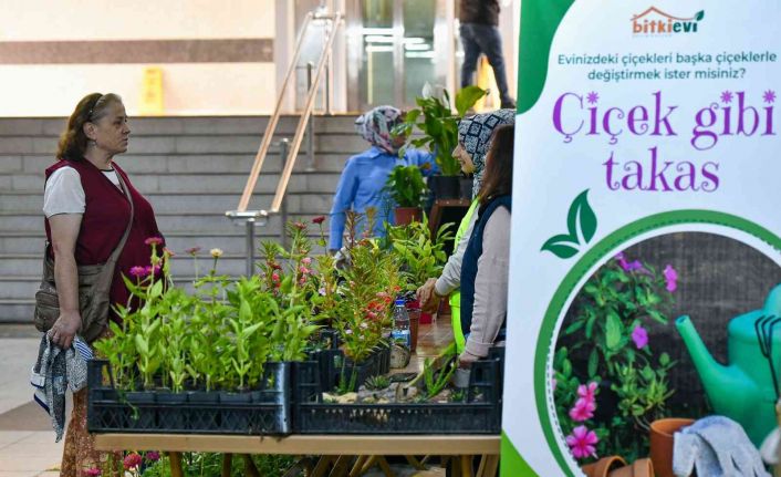 Başkentte ‘Çiçeğim Takas’ uygulaması devam ediyor