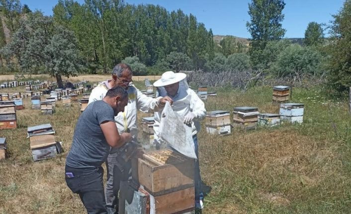 Binali Yıldırım memleketi Refahiye’de sezonun ilk bal hasadına katıldı