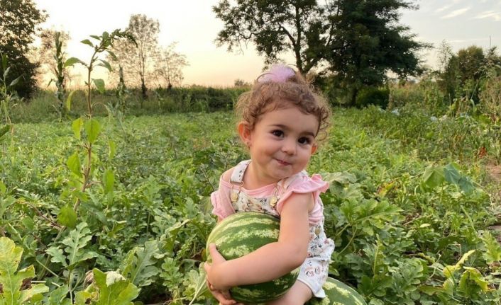 Bunaltıcı sıcaklar vatandaşı sulu meyvelere yönlendirdi