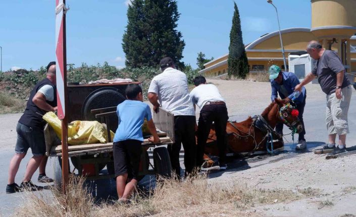 Bunaltıcı sıcakta yük ve insan taşıyan at, yere yığıldı zor anlar yaşadı