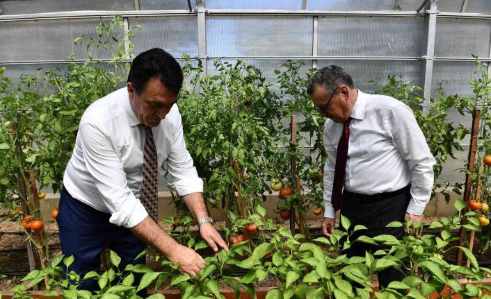 Bursa’da yerli ve milli tohum için işbirliği