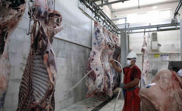 Büyükşehir mezbahalarında 31,6 milyon kilo kırmızı et üretildi