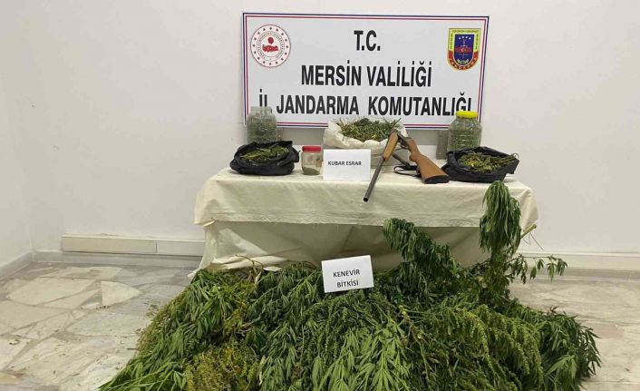 Çadıra uyuşturucu operasyonu