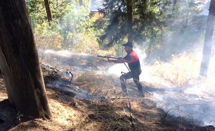 Çamlıkta çıkan büyümeden söndürüldü
