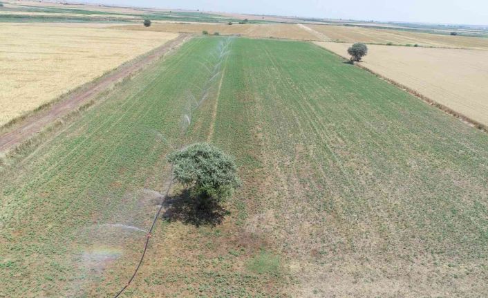 Çanakkale’de yapılan sulu tarım ülke ekonomisine yaklaşık 3 milyarlık katkı sağlayacak