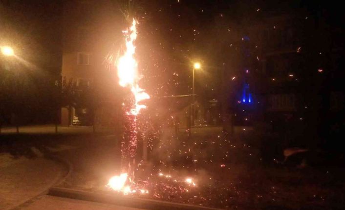 Çocukların ateşle oyunu ağacı tutuşturdu