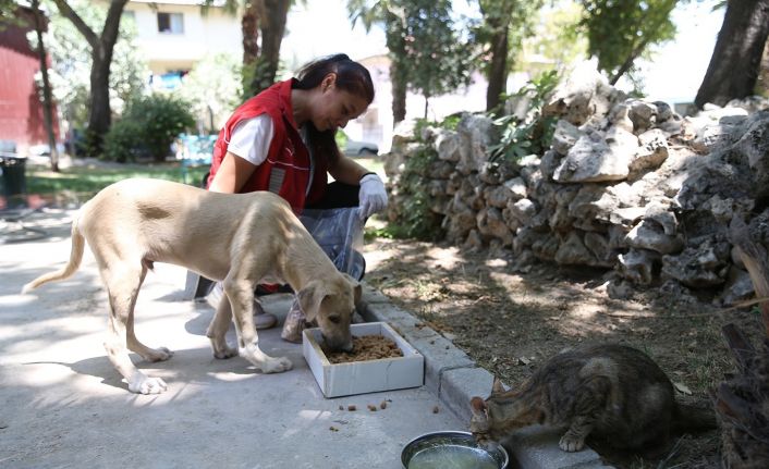 Denizli’de Pet Kafe ve Mama Üretim Tesisi yoğun mesai harcıyor